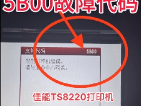 佳能TS8380 TS6220 TS6380 TR8580 TS9580打印机废墨在线远程清零